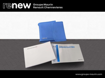 Photo 25 du bon plan DACIA Spring 45ch Confort Plus - Achat IntÃ©gral occasion à 8999 €