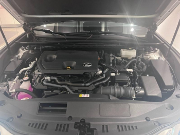 Photo 16 du bon plan LEXUS ES 300h Business MY23 occasion à 41990 €