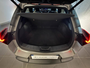 Photo 10 du bon plan LEXUS UX 300e Executive occasion à 26900 €