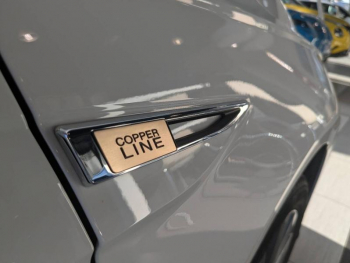 Photo 20 du bon plan VOLKSWAGEN Polo 1.0 TSI 95ch Copper Line Euro6d-T occasion à 12990 €