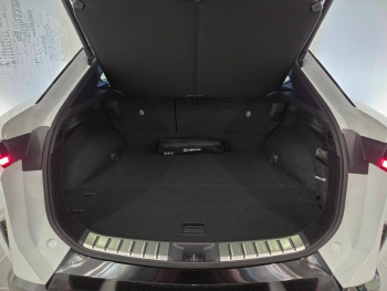 Photo 19 du bon plan LEXUS RZ 500e Executive MC26 occasion à 61290 €