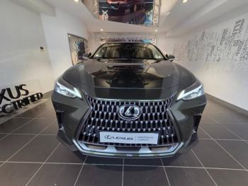 Photo 2 du bon plan LEXUS NX 350h 200ch Luxe 2WD MY26 occasion à 59590 €