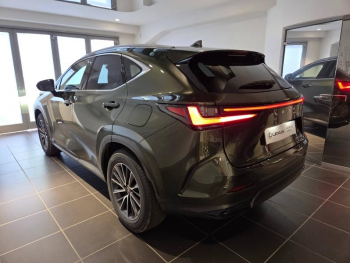 Photo 17 du bon plan LEXUS NX 350h 200ch Luxe 2WD MY26 occasion à 59590 €