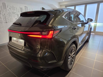 Photo 19 du bon plan LEXUS NX 350h 200ch Luxe 2WD MY26 occasion à 59590 €