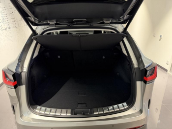 Photo 19 du bon plan LEXUS NX 350h 200ch Luxe Plus 2WD MY26 occasion à 62900 €