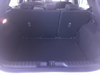 Photo 27 du bon plan FORD Puma 1.0 Flexifuel 125ch S&S mHEV Titanium occasion à 20590 €