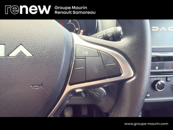 Photo 19 du bon plan DACIA Spring 45ch Expression occasion à 8900 €