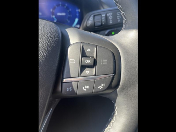 Photo 19 du bon plan FORD Fiesta 1.0 EcoBoost Hybrid 125ch Titanium Vignale Powershift 5p occasion à 18490 €