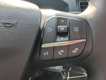 Photo 17 du bon plan FORD Transit 2T Fg VUL T350 L2H2 2.0 EcoBlue 170ch S&S Trail occasion à 33861 €