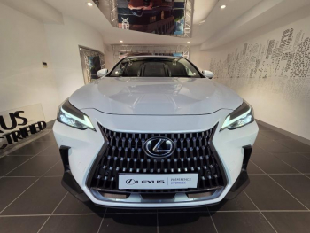 Photo 2 du bon plan LEXUS NX 450h+ Luxe 4WD MY24 occasion à 43490 €