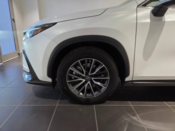 Photo 18 du bon plan LEXUS NX 450h+ Luxe 4WD MY24 occasion à 43490 €