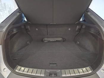 Photo 15 du bon plan LEXUS RZ 350e Luxe MC26 occasion à 52900 €