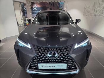Photo 2 du bon plan LEXUS UX 300h Luxe 2WD MC25 occasion à 42900 €