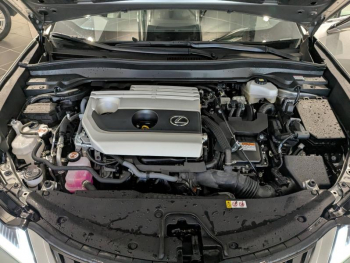 Photo 19 du bon plan LEXUS UX 250h Pack Business 2WD occasion à 25290 €