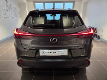 Photo 14 du bon plan LEXUS UX 250h Pack Business 2WD occasion à 26990 €