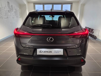 Photo 16 du bon plan LEXUS UX 250h Pack 2WD occasion à 26490 €