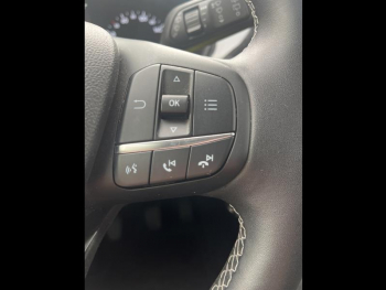 Photo 25 du bon plan FORD Puma 1.0 Flexifuel 125ch S&S mHEV Titanium occasion à 19290 €