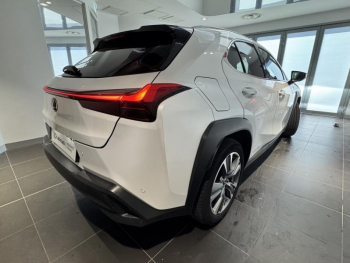 Photo 15 du bon plan LEXUS UX 300e Executive occasion à 21654 €