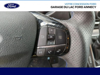 Photo 13 du bon plan FORD Transit Custom Fg VUL 320 L2H1 2.0 EcoBlue 170 Cabine Approfondie MS-RT BVA6 occasion à 45790 €