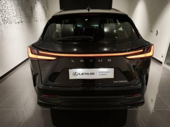Photo 5 du bon plan LEXUS NX 350h Pack Business 2WD MY25 occasion à 52890 €