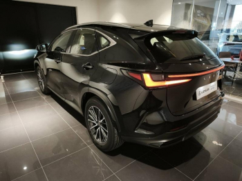 Photo 6 du bon plan LEXUS NX 350h Pack Business 2WD MY25 occasion à 52890 €