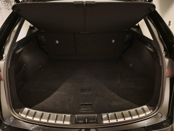 Photo 8 du bon plan LEXUS NX 350h Pack Business 2WD MY25 occasion à 52890 €