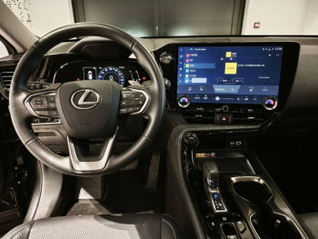 Photo 15 du bon plan LEXUS NX 350h Pack Business 2WD MY25 occasion à 52890 €