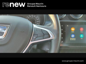 Photo 24 du bon plan DACIA Duster 1.0 ECO-G 100ch Prestige + 4x2 occasion à 14900 €