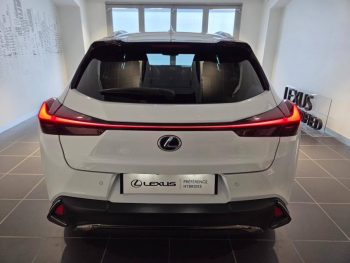 Photo 19 du bon plan LEXUS UX 250h 2WD F SPORT MY19 occasion à 23990 €