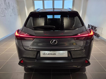 Photo 16 du bon plan LEXUS UX 300h F SPORT Design 2WD MC25 occasion à 32490 €