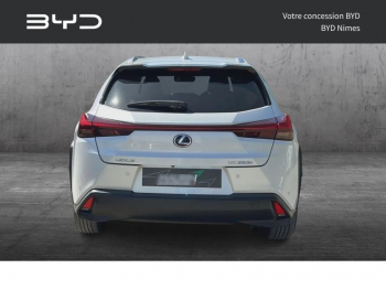 Photo 7 du bon plan LEXUS UX 250h 2WD F SPORT Executive MY20 occasion à 26990 €