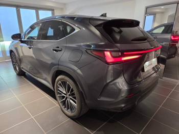 Photo 14 du bon plan LEXUS NX 450h+ Executive 4WD MY25 occasion à 48490 €