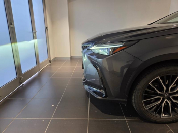 Photo 18 du bon plan LEXUS NX 450h+ Executive 4WD MY25 occasion à 48490 €