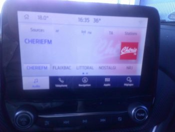 Photo 9 du bon plan FORD Puma 1.0 Flexifuel 125ch S&S mHEV E85 ST-Line X occasion à 19590 €