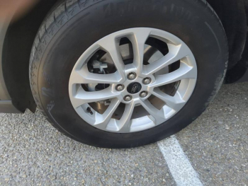 Photo 7 du bon plan FORD Kuga 2.5 Duratec 180ch Hybrid FlexiFuel Titanium Powershift occasion à 27990 €