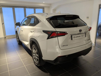 Photo 13 du bon plan LEXUS NX 300h 4WD Luxe occasion à 25490 €