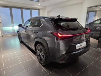 Photo 20 du bon plan LEXUS UX 300h Luxe 2WD MC25 occasion à 42900 €