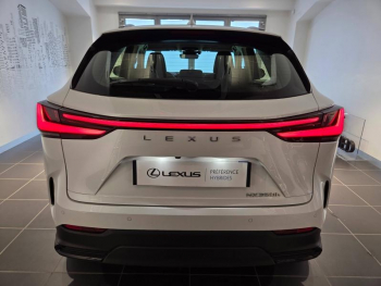 Photo 18 du bon plan LEXUS NX 350h Pack 2WD MY24 occasion à 43490 €