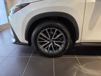 Photo 20 du bon plan LEXUS NX 350h Pack 2WD MY24 occasion à 43490 €