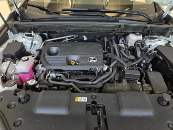 Photo 22 du bon plan LEXUS NX 350h Pack 2WD MY24 occasion à 43490 €