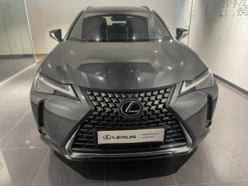 Photo 2 du bon plan LEXUS UX 300h Pack MY26 occasion à 35900 €