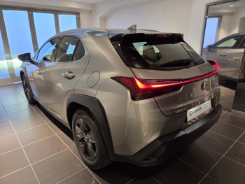 Photo 18 du bon plan LEXUS UX 300h Pack MY26 occasion à 36900 €