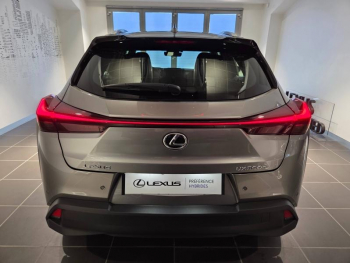 Photo 19 du bon plan LEXUS UX 300h Pack MY26 occasion à 36900 €