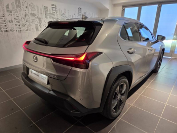 Photo 20 du bon plan LEXUS UX 300h Pack MY26 occasion à 36900 €