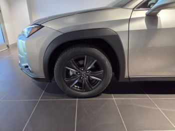 Photo 21 du bon plan LEXUS UX 300h Pack MY26 occasion à 36900 €