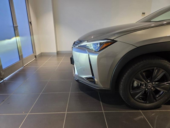 Photo 22 du bon plan LEXUS UX 300h Pack MY26 occasion à 36900 €