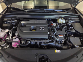 Photo 23 du bon plan LEXUS UX 300h Pack MY26 occasion à 36900 €