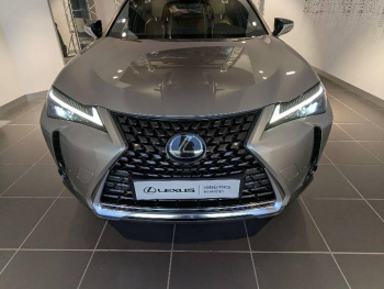 Photo 2 du bon plan LEXUS UX 250h Pack Business 2WD occasion à 24490 €