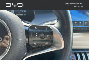 Photo 12 du bon plan BYD Atto 3 204ch - 60,5 kWh Comfort occasion à 25990 €