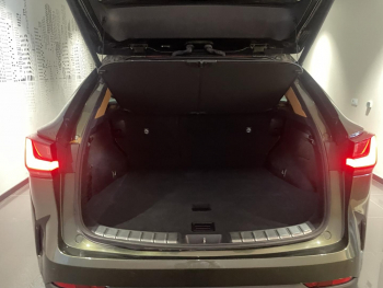 Photo 10 du bon plan LEXUS NX 450h+ Luxe 4WD MY25 occasion à 49990 €